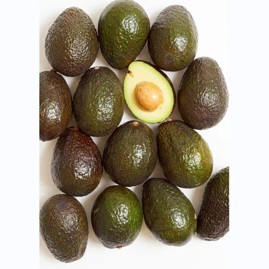 BEST ORGANIC FRESH AVOCADO FRUIT/ HASS AVOCADO ON SALE Premium Quality Fresh Avocado  Exporter AT WHOLESALE