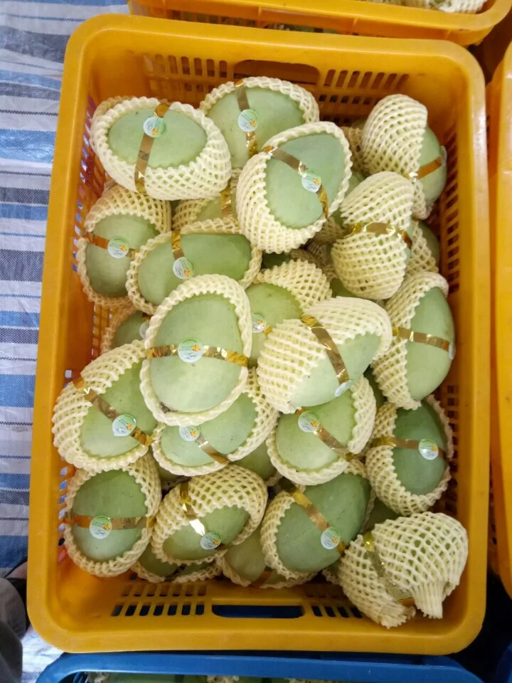New Arrival 2022 High Quality Fresh Cat Chu Yellow Mango From Viet Nam Ready To Ship