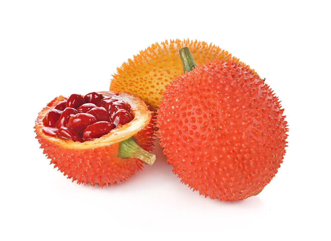 Hot Selling Sweet Gourd Powder High Quality Powder Extract from Gac Fruit