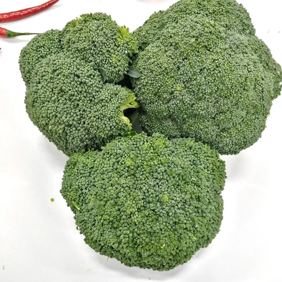 Market price fresh broccoli high quality fresh vegetables wholesale Chinese broccoli