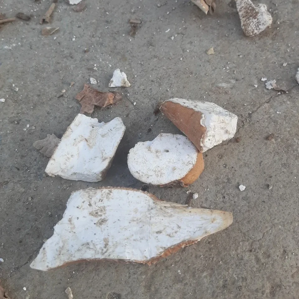 CASSAVA CHIPS FOR ETHANOL PRODUCTION BEST PRICE