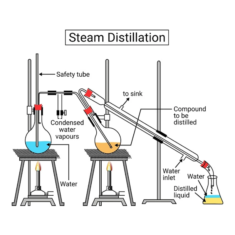 Aromatherapy Organic Zedoaria Essential Oil ISO Certificated 100% Pure in Private LOGO Body Care Production