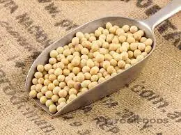 Factory wholesale grains and cereals soybean milling soy milk raw materials low-temperature roasting cooked soybeans