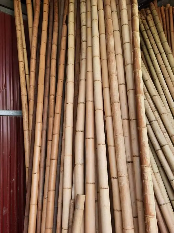 Vietnamese natural bamboo fence wholesale price! Raw Bamboo Poles for Gardening and Decoration! Bamboo Pole Natural