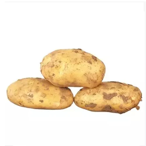 New crop of fresh potatoes for Export to the world high quality sweet potato low price top grade products
