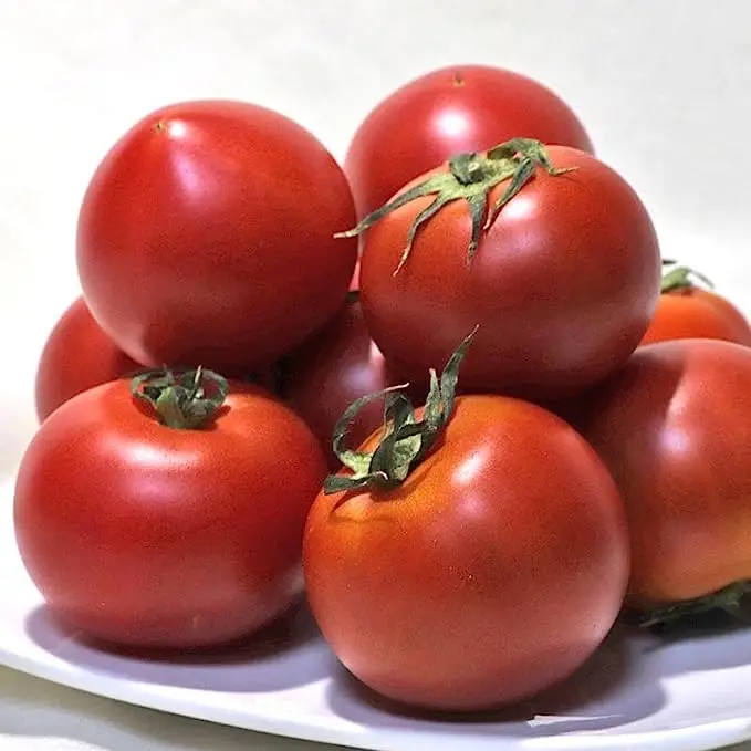Premium Kita no Kiwami Fruit Tomato