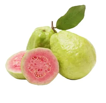 Bset Selling 100% Natural Fresh Yellow Green Nutrient Rich Quality Good Taste and Organic Guava