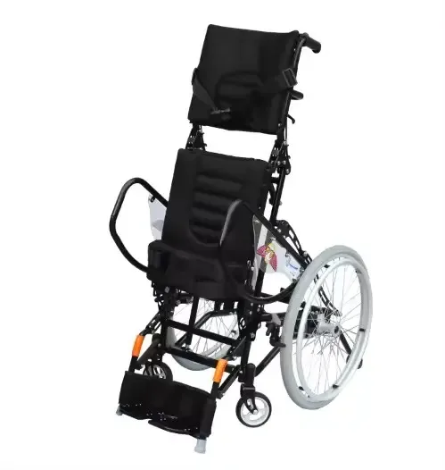 Intelligent Senior Care Products -  Training Device, Walking Aids, and Power Stand-Up Wheelchair