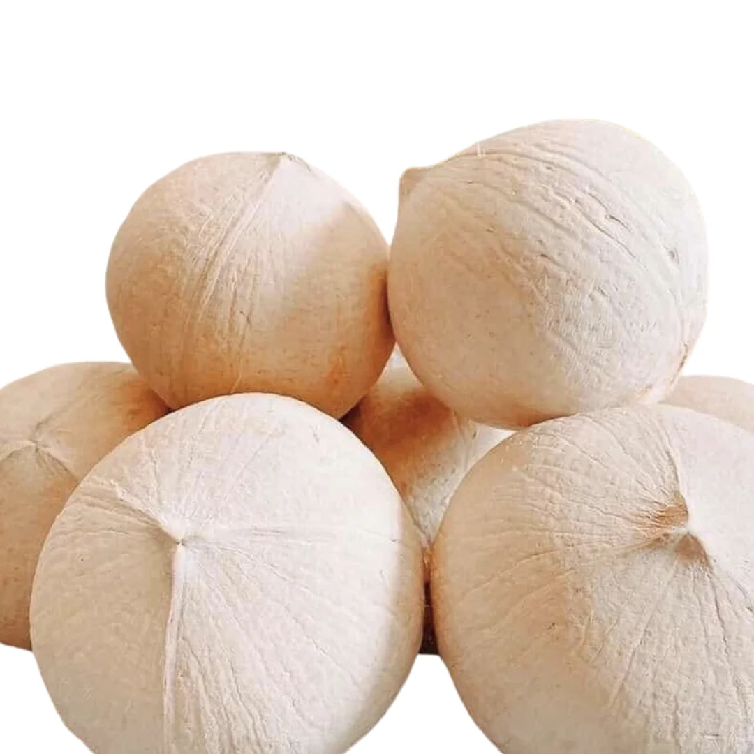 Hot Selling Fresh Coconut 700g - 1000g High Nutritional Sweet Taste Healthy Pure Organic Young Coconuts