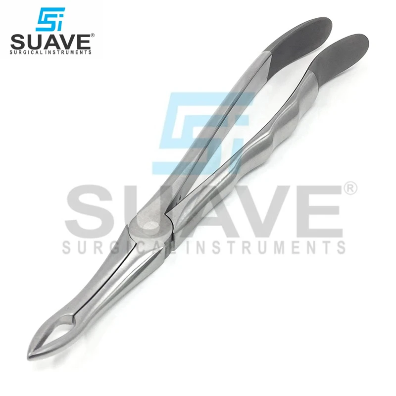 Tooth Extraction Forceps Set Stainless Steel High Quality Dental Tooth Extraction Forceps Set By SUAVE SURGICAL  INSTRUMENTS