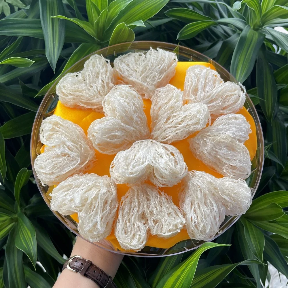 100% Natural Good Looking Packaging Full Shaping Fibers Anti-Fatigue Super Bird Nest With 10-15 nests/100g/box