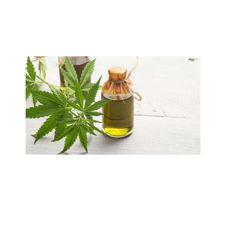 Factory supply 100% natural Olea europaea L Plant Oil Organic Hemp Seed Oil For Health food