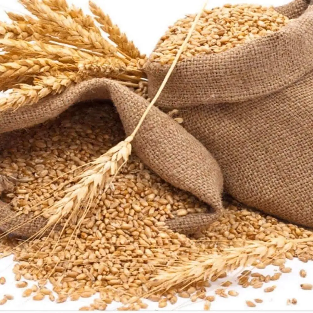 Высококачественная цельнозерновая пшеничная мука оптом от производителя для розничных рынков предприятий общественного питания и импортеров