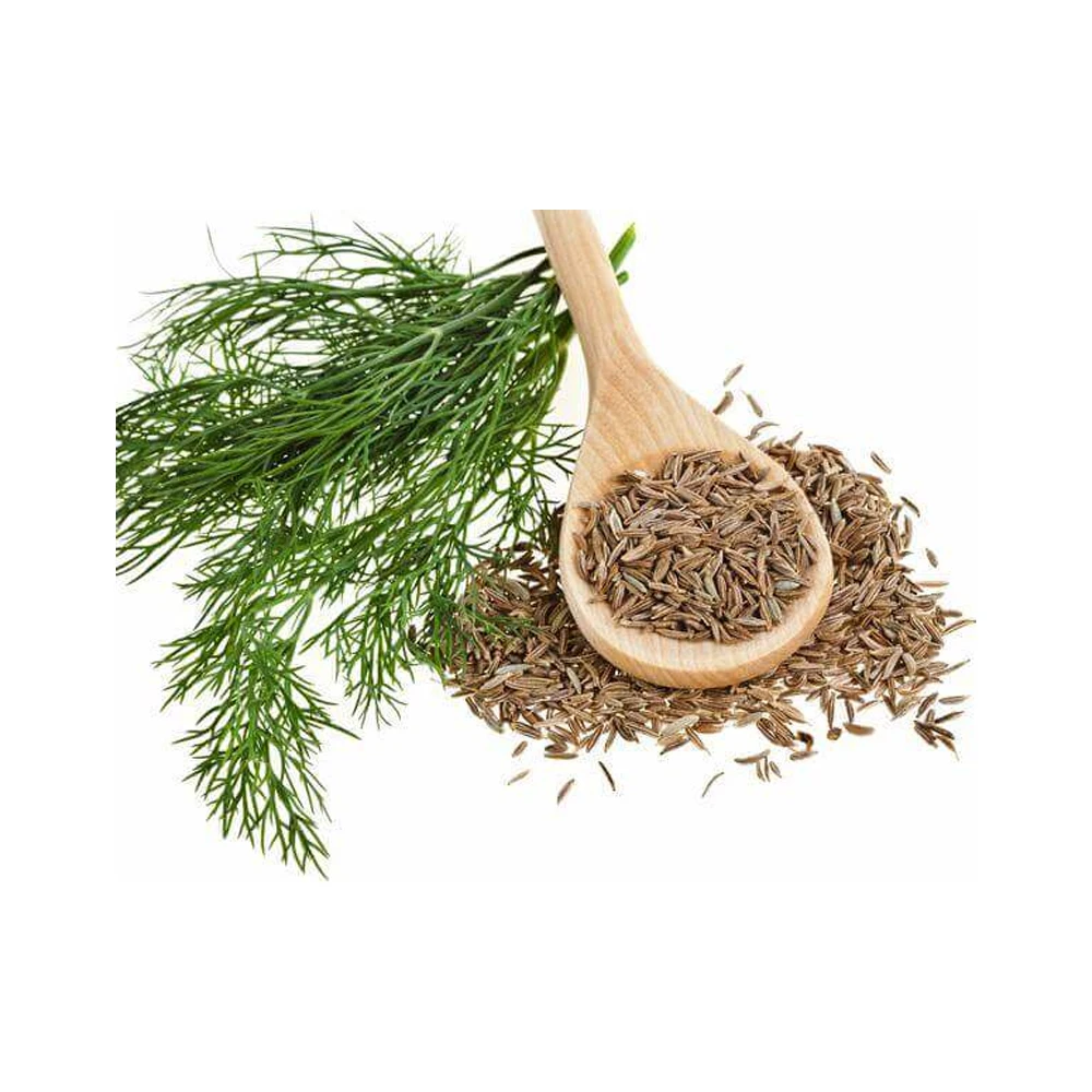 Indian Cumin Seed Available In Best Quality And Competitive Price