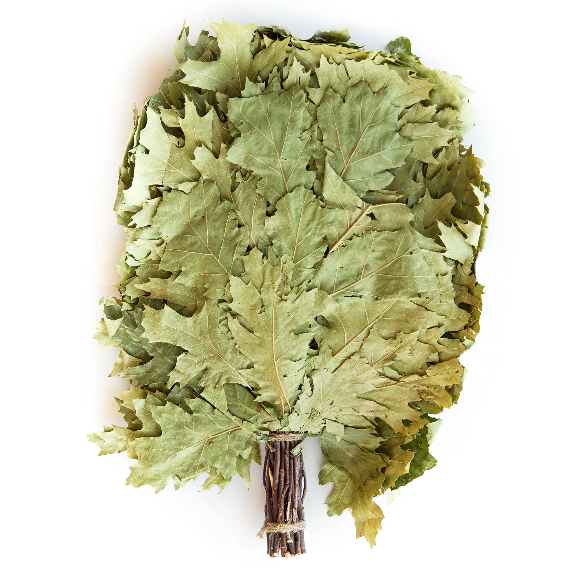 Традиционная Высококачественная Органическая сауна ручной работы для стимуляции иммунитета натуральная Северная дубовая метла