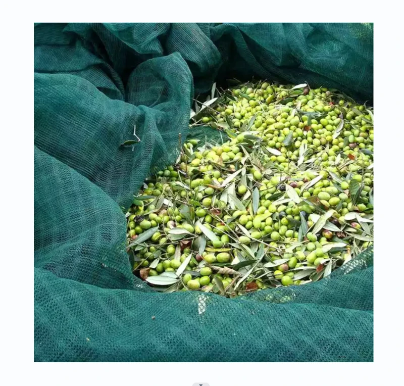 China Supplier Olive Harvest Net Fruit Collection Net HDPE Agriculture Greenhouse Olive Nets