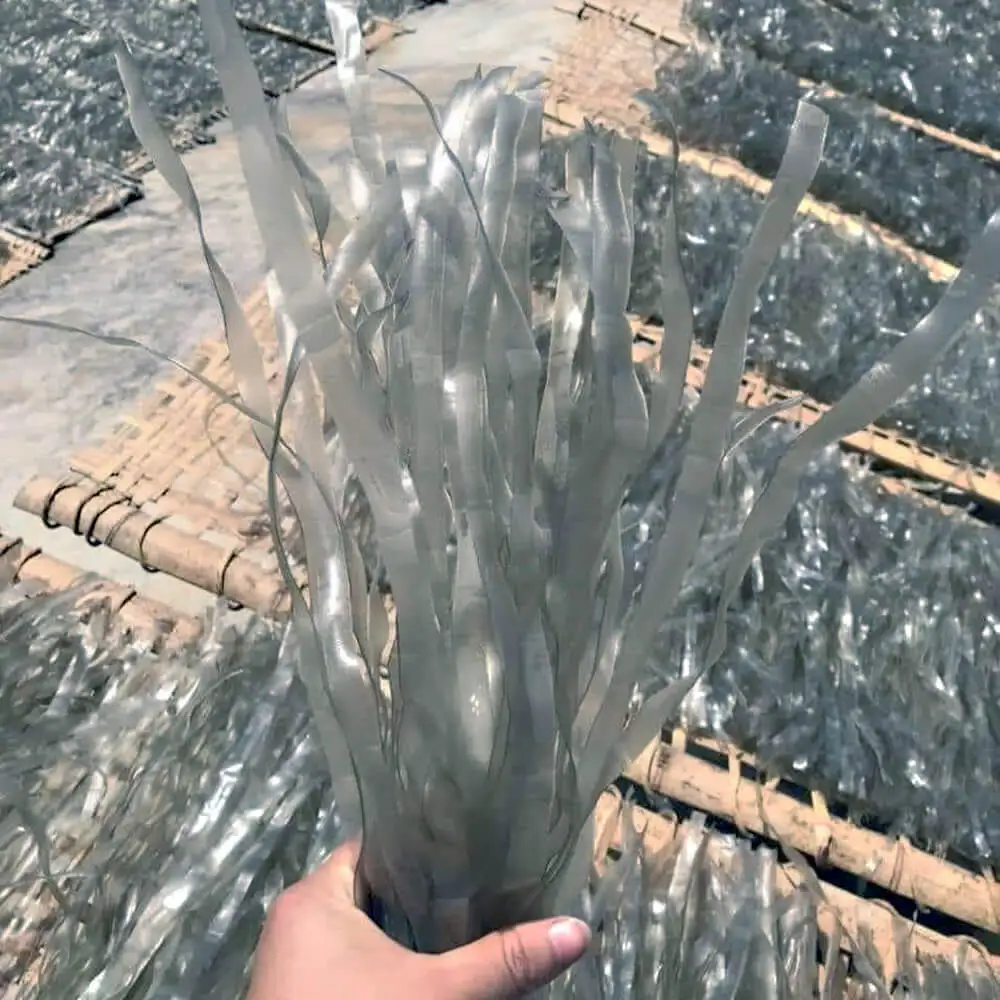 Rice Vermicelli Hot Pot Food Dried Noodles Non  Gluten Free Pea Dried Crystal Glass Noodles Vermicelli