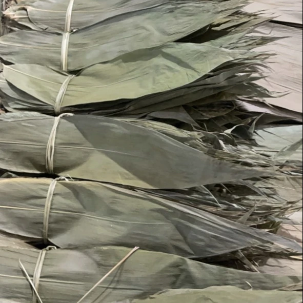 Wholesale Dried Zongzi Leaf Bamboo Leaf Bamboo Eco-friendly Material Big Size with Competitive Price in Vietnam