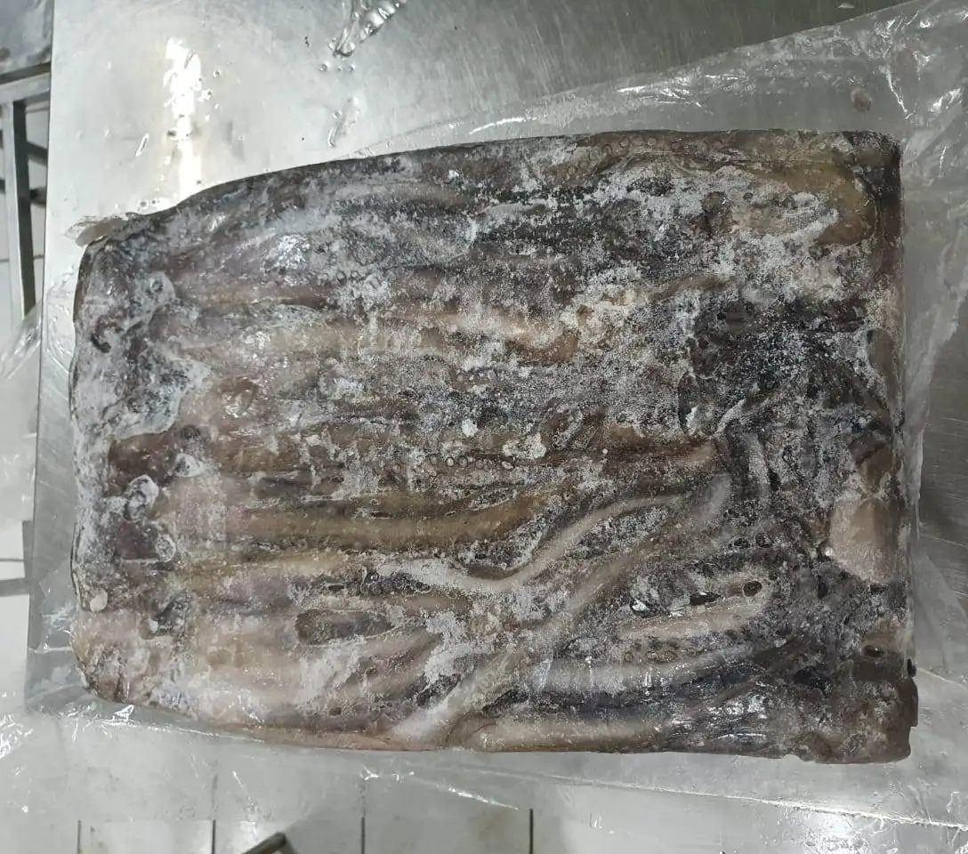 Замороженный длинный осьминог, цельный круглый, хорошего качества, индонезийского происхождения