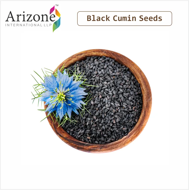 Habbatus Sauda/Black Cumin Seeds Raw Granule Shape Dried Spice with ISO Certification Nigella Sativa for Masala and Herb Uses