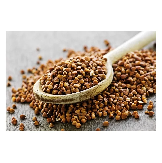 Bulk Stock Available Of Natural Organic Buckwheat/Roasted Buckwheat Kernels At Wholesale Prices