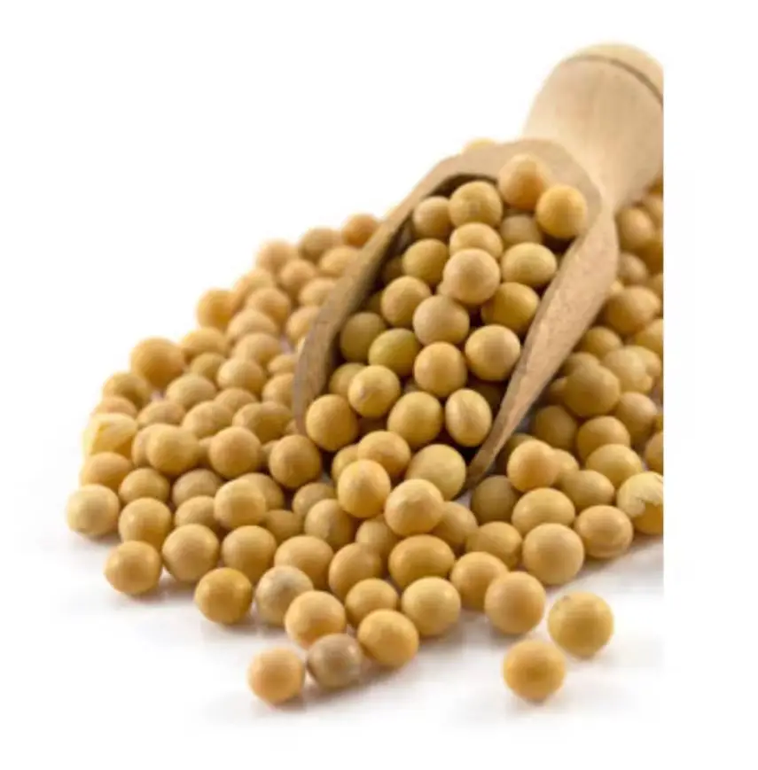 Good Quality Soybeans Wholesale Natural Soya Beans Soybean