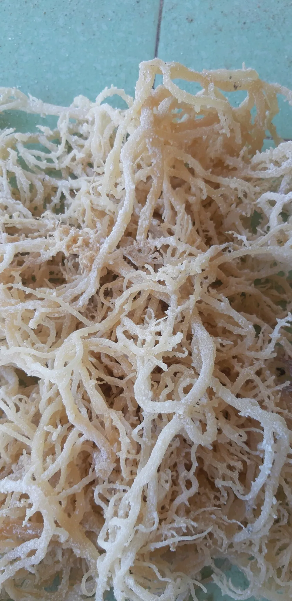 HIGH QUALITY Wild Crafted Dried Spicy Seaweeds Anna