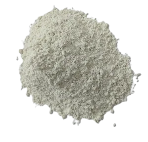 Buy Premium Quality Pharma Grade Bentonite Powder For Medicine Uses Manufacture in India Wholesale Prices