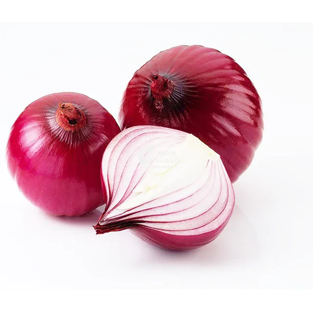 Indian Fresh Onion with High Quality and Best Price for Wholesale Stock Available for Export Uttar Pradesh, India Red Round 8 Cm