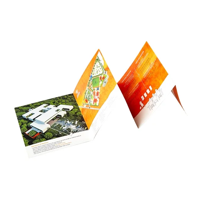 Multi Fold Brochure Printing/Tri fold brochure printing/Flyer/Dangler