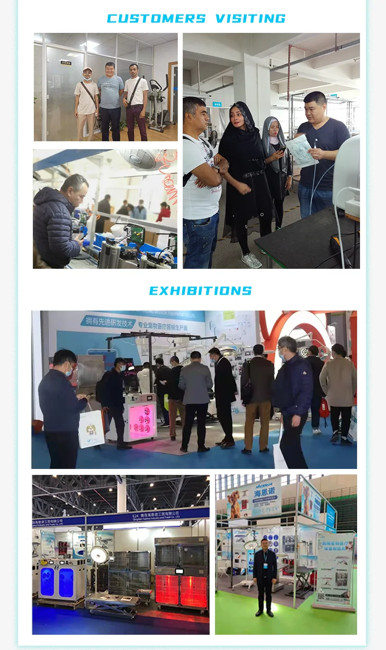 Hacemey hot sale stainless steel 304 wet vet pet  cat cages for cat dog veterinary equipment pet hospital and clinic