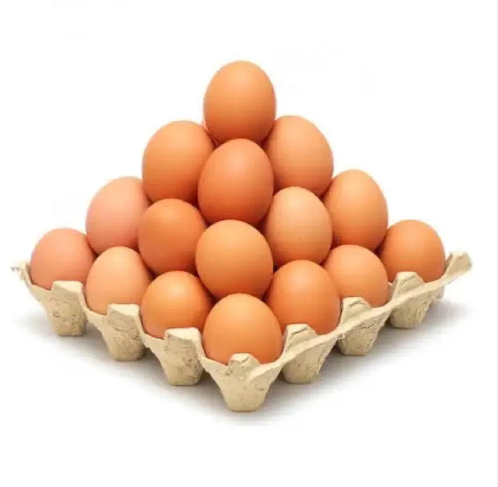 Свежие куриные столовые яйца коричневая и белая скорлупа куриные яйца для продажи