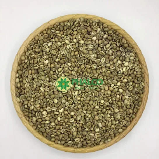 Вьетнамские высококачественные зеленые кофейные зерна Robusta от надежной фабрики 0084339966582