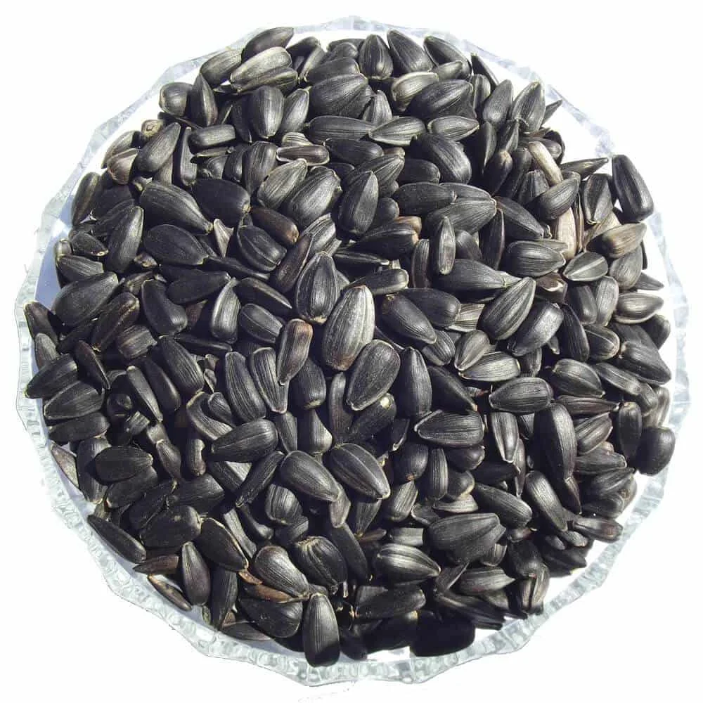 Hot Sale Delicious Full of Nutrition Roasted Salted Sunflower Seeds