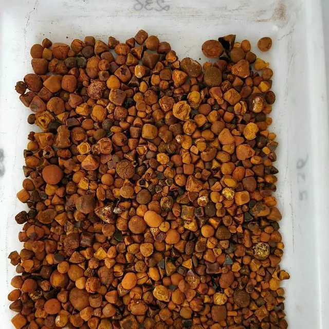 100% натуральные высококачественные желчные камни Ox для крупного рогатого скота