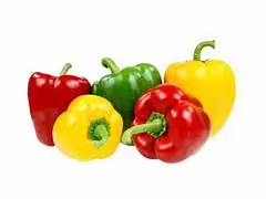 Good quality  Fresh Capsicum Bell Pepper Smooth and Natural Red Yellow Green Skin from Vietnam top exporter Reasonable Price