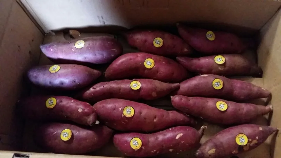 Cleaned Organic Natural Fresh Sweet Potato From Vietnam 2022