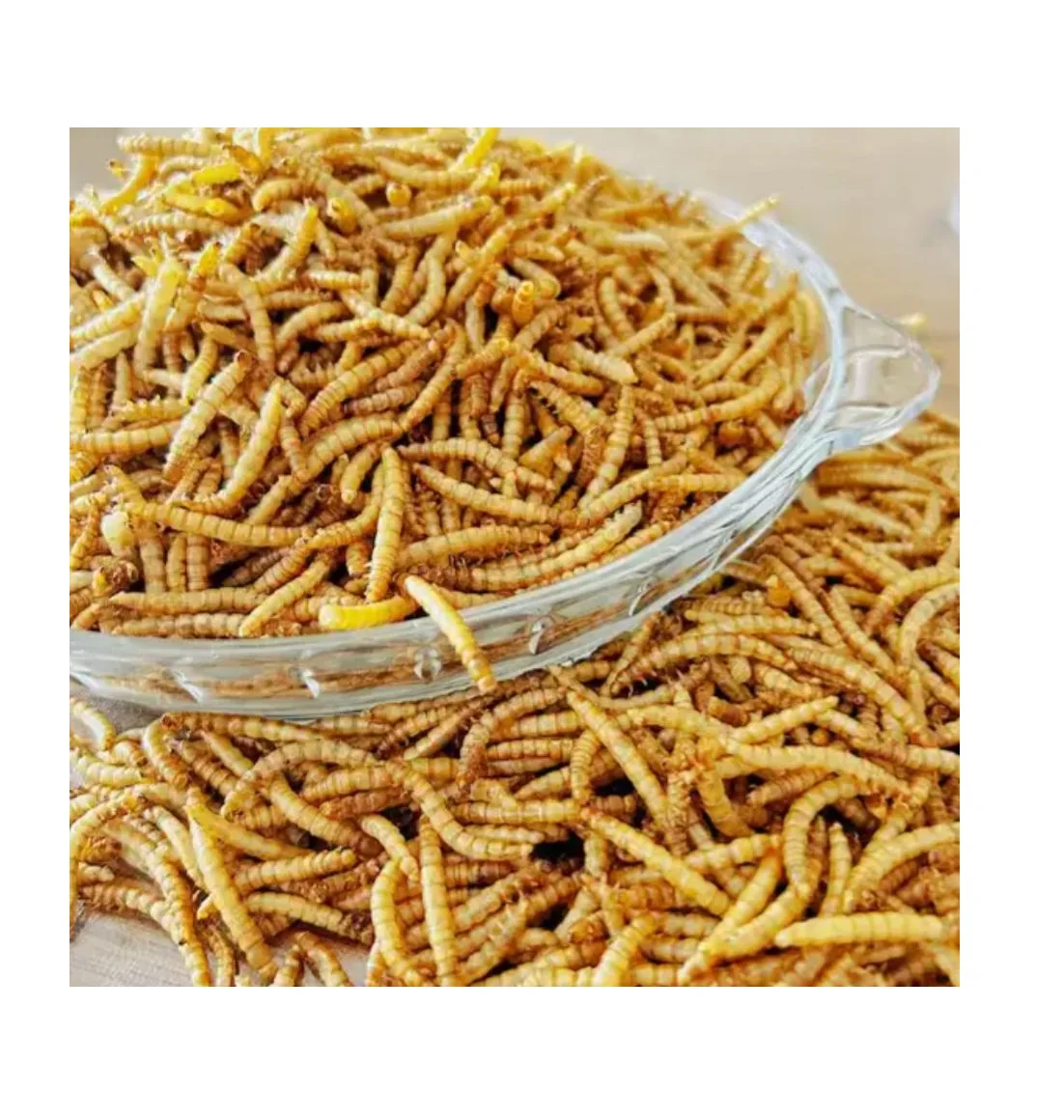 mealworms dried Freeze snacks Wholesale of natural pet snacks for birds and hamsters food yellow mealworms dried Freeze