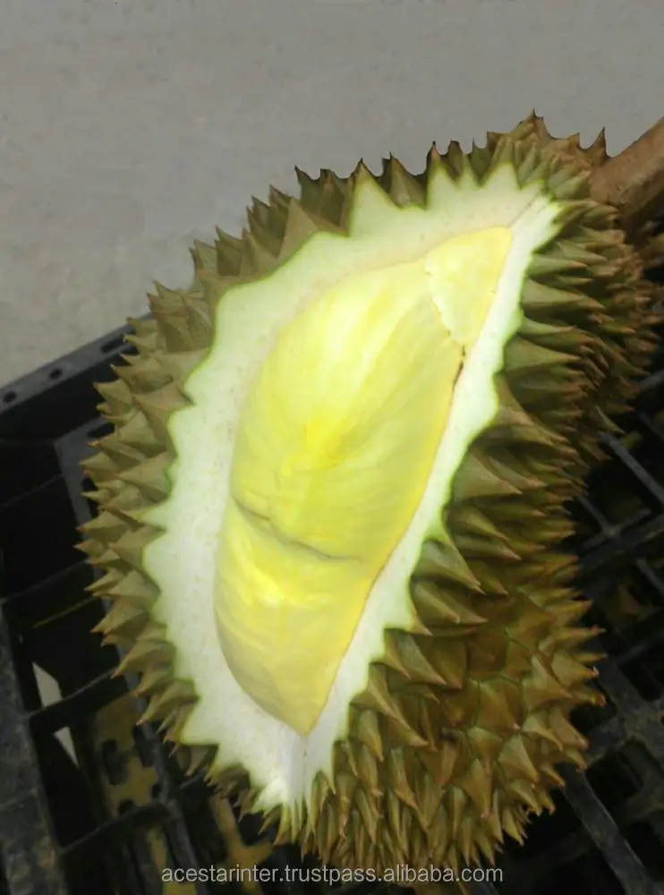 Monthong Durian Made In Vietnam So Fresh Premium Quality Fresh Whole Piece /Frozen Pulp Durian Fruit Monthong