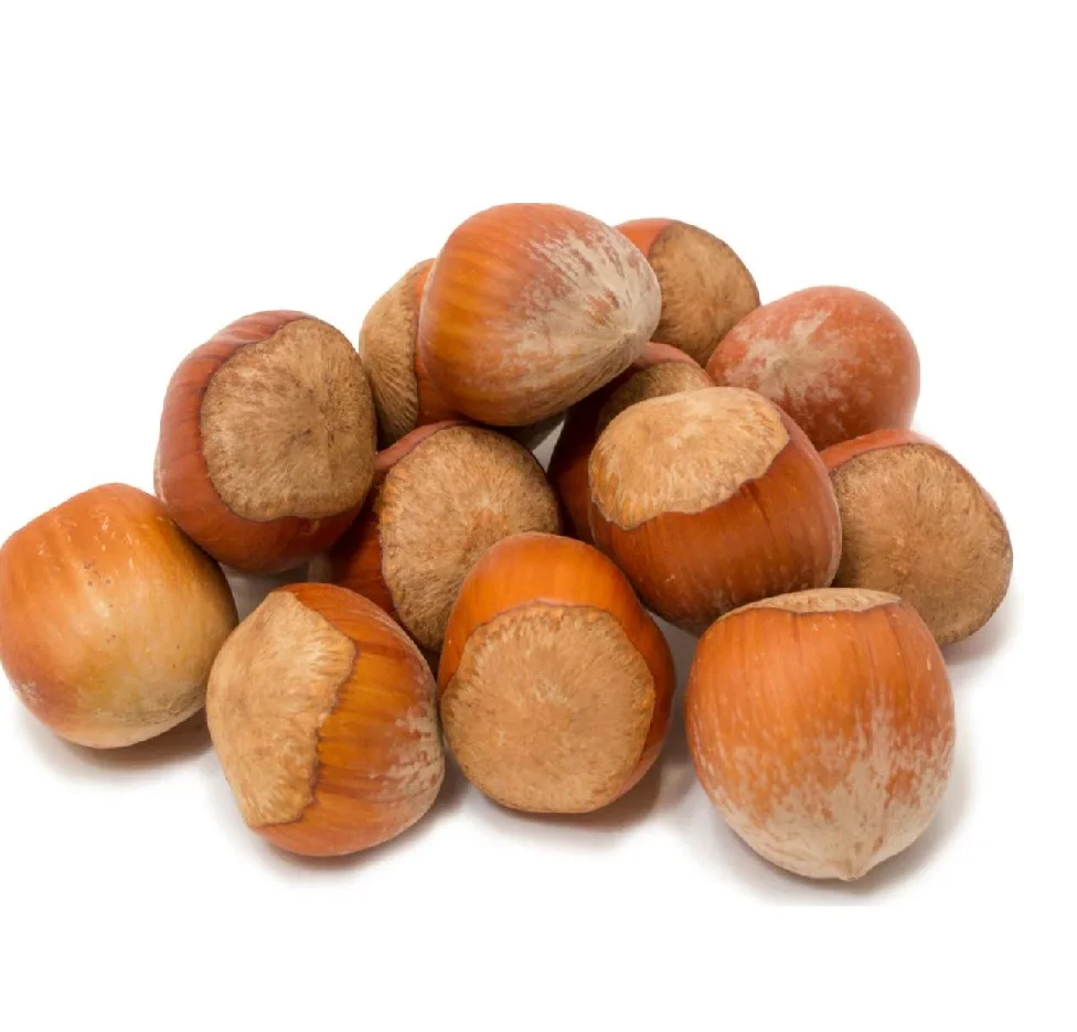 Top Quality Raw Dried /Hazel Nuts Hazelnuts At Wholesale