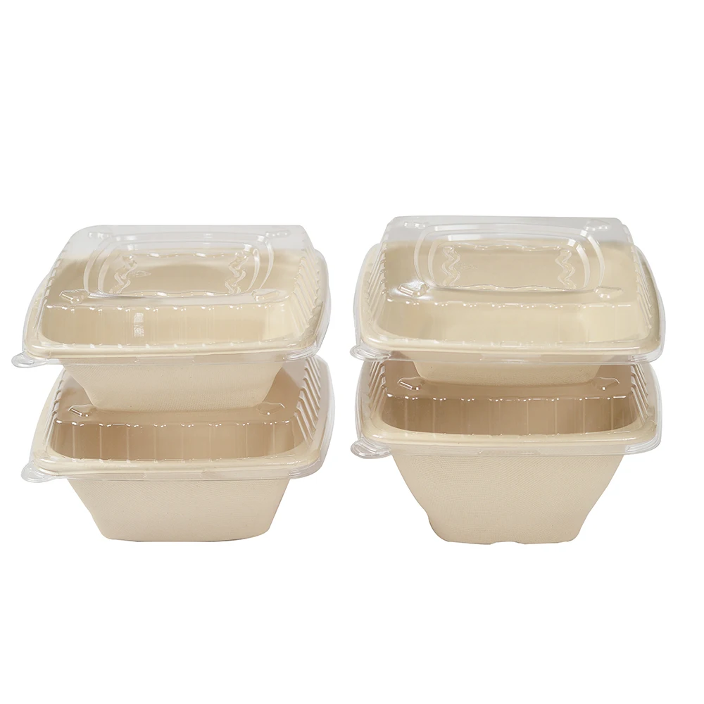Wholesale Sugarcane Bagasse Food Container Disposable Compostable Rectangle Bowl With Lid