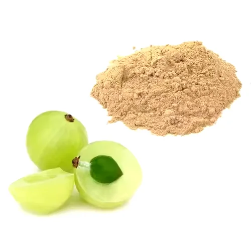 Hot Selling Amla Berry Juice Powder Organic Natural Amla Fruit Extract Powder at Best Price
