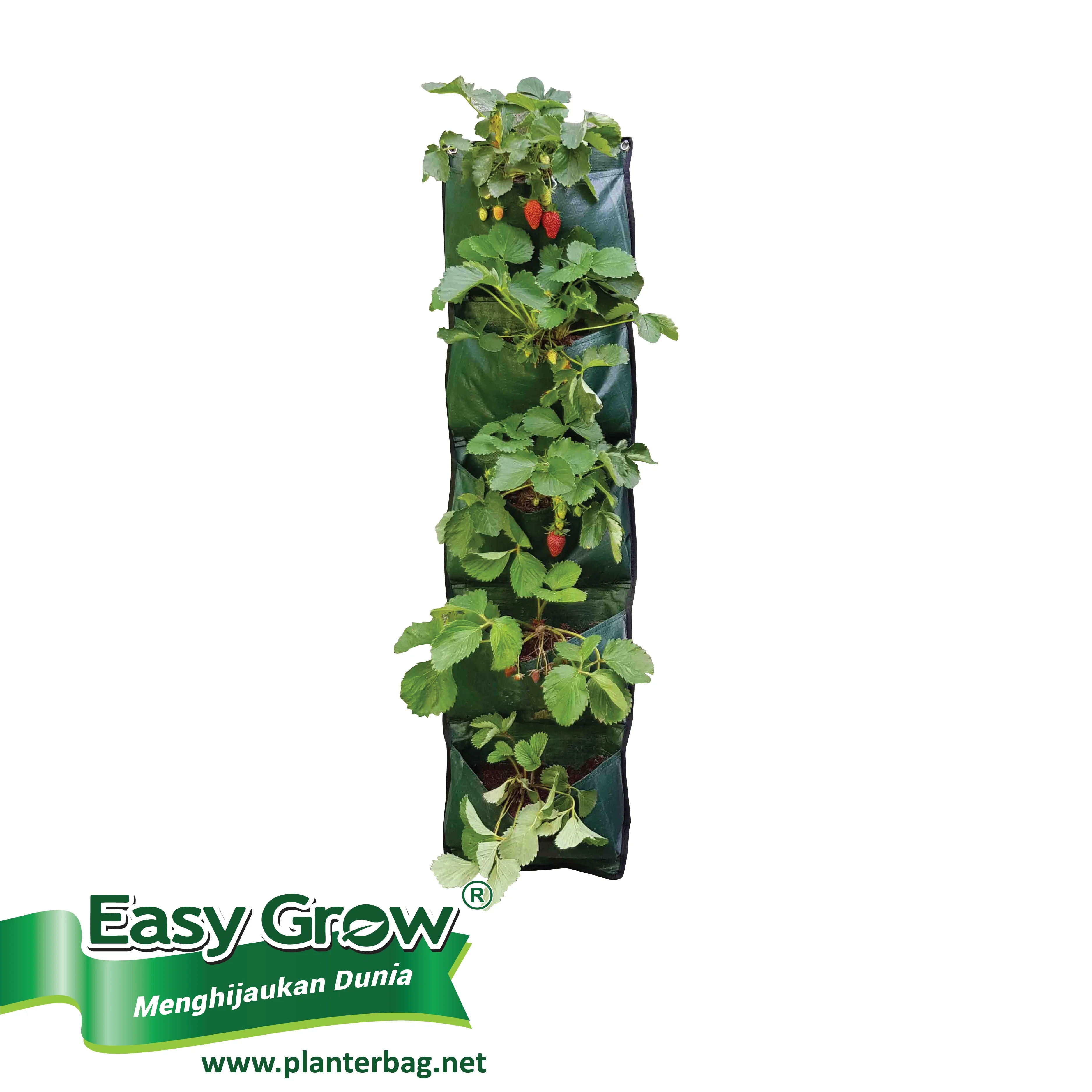 Durable Vertical Garden Felt Grow Bags Pockets Plastic Wall Planter Flower Pots & Planters Black Green