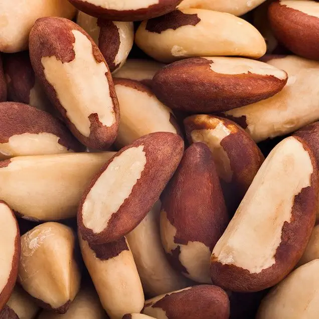 Pure Natural Brazil Nuts