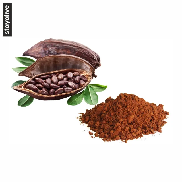 High Quality Pure Cocoa Bean Extract |  Superfood | Antioxidant | Gluten free | Vegan | Cocoa Bean Powder