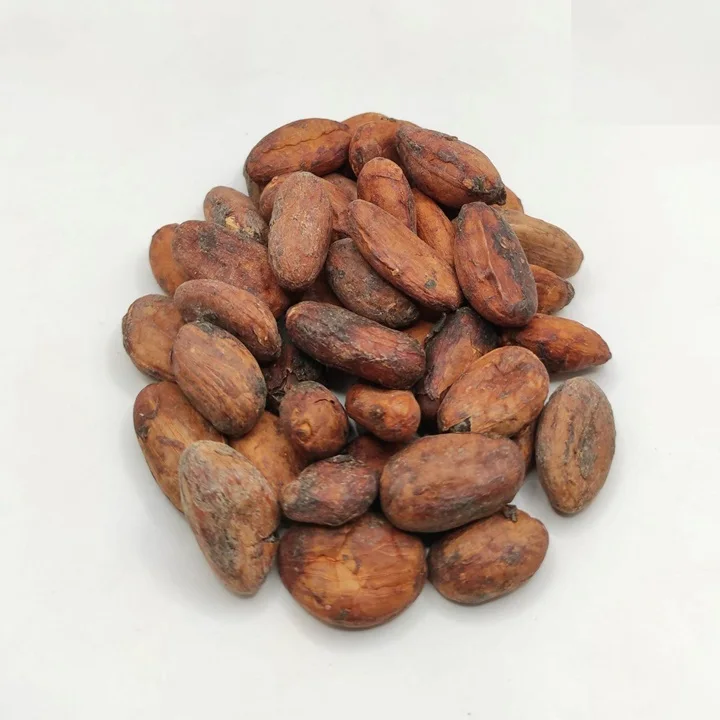 Ecuadorian Criollo Cacao Beans (Raw, Organic) Buy Cacao Online Now