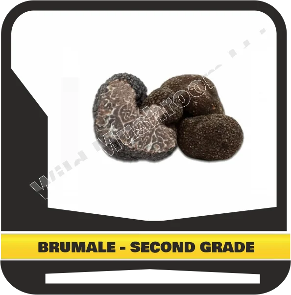 FRESH BLACK WINTER TRUFFLES BRUMALE - SECOND GRADE