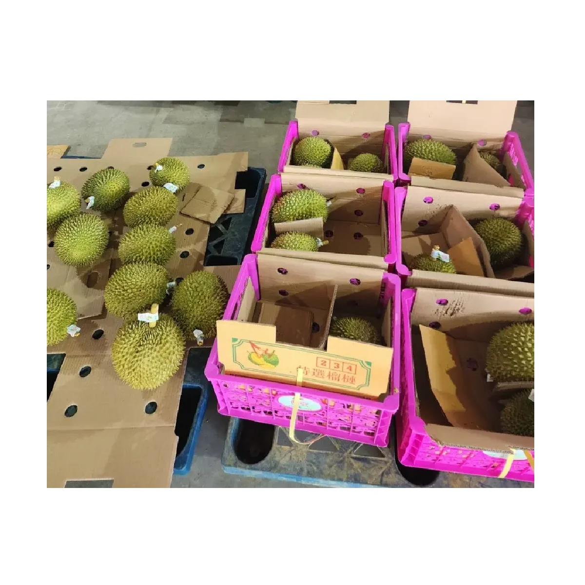 Wholesale Fresh Durian Sweetness Flavor Specification Bulk Fruit IQF Type Frozen Durian Vietnam Export Package