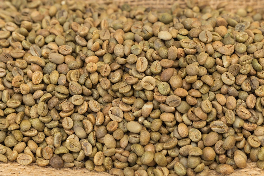 Premium Quality Roasted Arabica Coffee Beans Super Quality for sale Green Coffee Bean