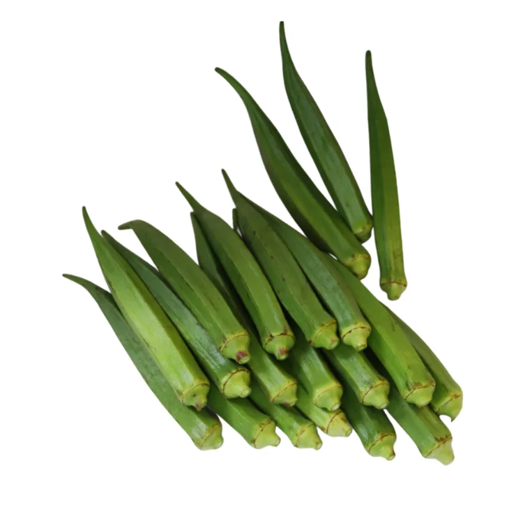 fresh okra OEM new crop using for many purposes TCVN packing in carton Made in Vietnam Manufacturer